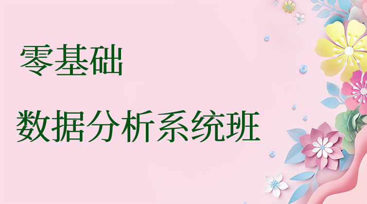 零基础·数据分析系统班