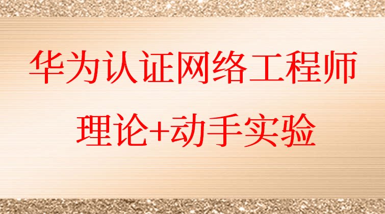 华为认证网络工程师 理论+动手实验