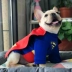 Pet Superman quần áo mùa xuân và mùa thu Teddy Keji pháp luật quần áo chiến đấu Superman Batman biến đổi trang phục bên trang phục thú cưng - Quần áo & phụ kiện thú cưng