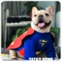 Pet Superman quần áo mùa xuân và mùa thu Teddy Keji pháp luật quần áo chiến đấu Superman Batman biến đổi trang phục bên trang phục thú cưng - Quần áo & phụ kiện thú cưng áo mèo
