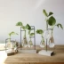 Sáng tạo treo bình thủy tinh cây thủy canh nhỏ phòng tươi trang trí phòng khách cắm hoa bàn xanh thanh container - Trang trí nội thất