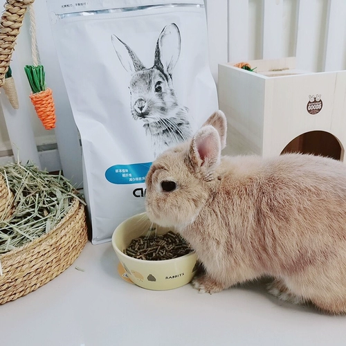 БЕСПЛАТНАЯ ДОСТАВКА 5 CATTIES 20 ЧИЛИ БЕЛОЖЕНИЯ Регулируют желудочно -кишечный кролик