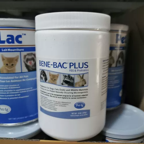 Помочь вам сильный порошок Picillo Gel 15G Кондиционирующая желудочно -кишечная собака кролики кошек, цветочные ветви Catarong Cat Hamster