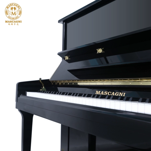 Гонконг Маскани C21 Первичные исследования Введение фортепиано