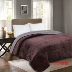 Một mảnh giường flannel bao gồm thêu vải chắp vá chăn điều hòa không khí chăn là đôi bên bông vận chuyển bên nhung - Trải giường Trải giường