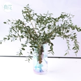 Если у вас есть цветы, хорошо быть цветами Yougeli Leaf с травой, Цветочная база Юньнана Кунмин Прямой желтый камышевка в прямом одобрении