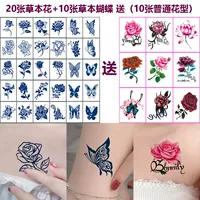 30 трав цветов бабочки-гив 10 цветов путунга