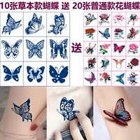 10 трав бабочек-спендий 20 путонг-цветочных бабочек