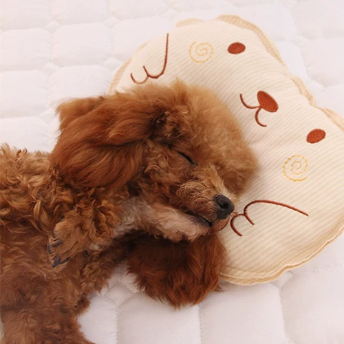 Домашние собаки специально спят маленькие подушки плюшевые щенки corgi dou dou small dog bomei cat biebell продукты