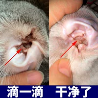 Кошачьи кошачьи кошельки для ушей жидкости -кошки кошки с уходами с собаками с домашними собаками Удаляйте ушные клещи и очистки ушей