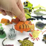 Реалистичная морская игрушка с животными, акула, фигурка для раннего возраста, учебные пособия, морская звезда