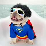 Одежда для домашних животных Супермен Бэтмен паук -мужчина разнообразие вечеринка смешная плащ с борьбой с Корки Тедди собака одежда