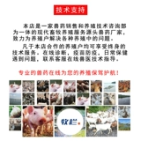 Пять -летний магазин три цвета зверей, использованных стержней, гидрохлористовая кислота для губ