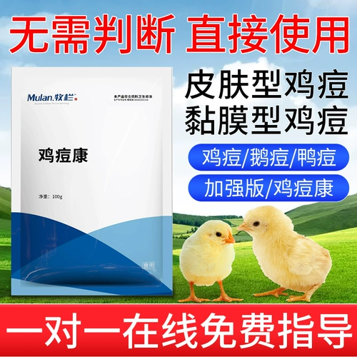 Курица с прыщами курица с китайским медицином голубь от прыщей, чтобы устранить куриные прыщи, сражающиеся на свободных куриных голубях Специальные куриные прыщи и лекарство от курицы курица прыщи