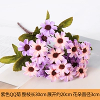 Purple QQ Chrysanthemum (1)