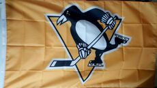 Товары с бейсбольной атрибутикой 外贸匹兹堡企鹅队球迷旗nhl pittsburgh