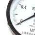 Y-100 xuyên tâm đồng hồ đo áp suất chân không âm đồng hồ đo áp suất thông thường đồng hồ đo áp suất 0-0.6/1.0/1.6/2.5/4/6Mpa 