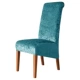 Peacock Blue 13#