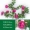 Dải cảnh quan phòng khách dải hoa hồng lá xanh lá hoa nhựa mây uốn lượn trang trí tường mô phỏng - Hoa nhân tạo / Cây / Trái cây