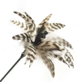 Meowcard Основные цветные перья дразнить кошачьи палочки дезинфекция перья