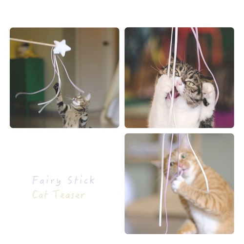 Meowcard Fairy Fairy Funcy Cat Toys Catal Cat Card