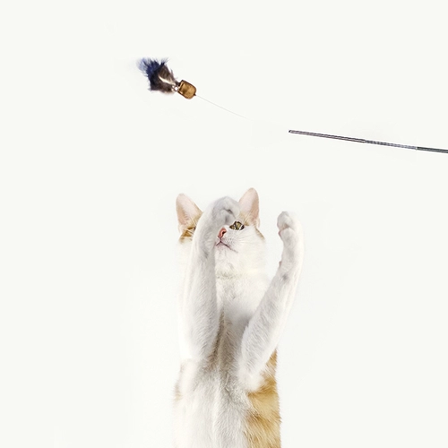 Meowcard xiaofei Butterfly Catal Stub и Polo -Steel Badfish Новые продукты игрушки мыши Bell Products