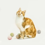 Meowcard красочный шерстяной шерстяной шарик ручной колокол колокол колокола, дразняя игрушечную игрушку -хе -хе -хе, установил новый продукт