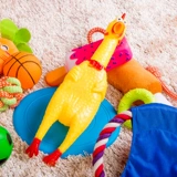 Игрушка для собак, кусая плюшевые, плюшевые золотые волосы по размеру собак