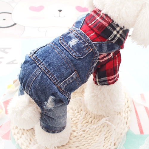 Интернет -знаменитость осень и зимний бренд клетчат