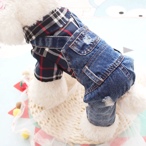 Интернет -знаменитость осень и зимний бренд клетчат