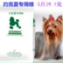 Yorkshire Terrier con chó dành cho người lớn chó con chó nhỏ thức ăn đặc biệt thức ăn cho chó 2.5kg5 kg thịt bò hương vị đầy đủ dog dog staple thực phẩm thức ăn chó royal canin Chó Staples