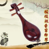 Фабрика прямых продаж профессионал, играющий красные стерилизации Liuqin Rosewood Liuqin Double Sound Window Double Horizontal Shagger жертва liuqin