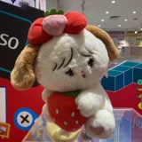 Микко Мянмиан Клубничная Группа Серия-Сити Куклы и Подушка Мингин Юпин Минисой Минисовый плюш плюш