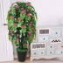 Cây mô phỏng chậu hoa lan trang trí phòng khách sàn hoa giả chống hoa trang trí nhà Du Fu trong nhà hoa mẫu đơn lớn - Hoa nhân tạo / Cây / Trái cây Hoa nhân tạo / Cây / Trái cây