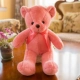 Teddy gấu đồ chơi sang trọng giữ gối ngủ búp bê ôm gấu rag búp bê dễ thương cô gái dễ thương Hàn Quốc - Đồ chơi mềm