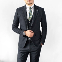 Động vật có xương sống nam Hàn Quốc sọc đen đậm phù hợp với quần hai mảnh Light Business Slim Suit quần âu