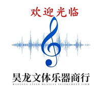 Haolong Boutique Style Body Musical Instrument Sightice Sightice налоговые прибор