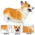 Trẻ em rắn mô phỏng động vật mô hình đồ chơi con chó đồ chơi con chó đồ chơi chó corgi đồ chơi cậu bé cô gái món quà - Đồ chơi gia đình