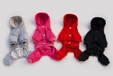 Pet New Dog Clothing Teddy Bargain Puppy осень и зимняя четырехлетняя спортивная одежда для спортивной одежды с четырьмя грудными хлопковыми свитерами.
