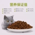 Thức ăn cho mèo làm đẹp mèo thức ăn ngắn 5kg Mèo shorthair của Mỹ tại chỗ mèo đặc biệt thức ăn chính để bóng tóc vận chuyển 10 kg tự nhiên Review các loại hạt cho mèo Cat Staples
