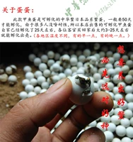 Добавить 1 яйца черепах