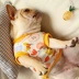 Quần áo chó pháp mùa xuân và mùa hè mỏng phần vest nhỏ in hình áo sơ mi cổ tròn ngắn chó béo mùa hè trang phục dễ thương - Quần áo & phụ kiện thú cưng