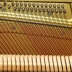 Nhật Bản nhập khẩu đàn piano dọc Yamaha U3M U3H U3 U3A U3E dành cho người lớn - dương cầm piano mozart dương cầm