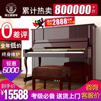 Đàn piano mới thẳng đứng của Đức phân loại người lớn chuyên nghiệp chơi đàn piano nhập khẩu - dương cầm đàn piano điện giá rẻ