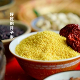 Naxi Field Yunnan xiahuangmi Новый рис Новый рис грамм -глитиновый зерне