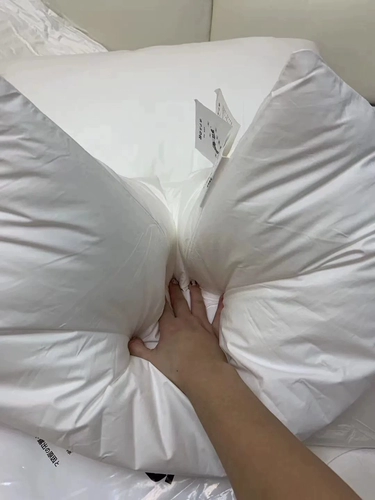 Унесенные ветераны вернулись к заказу дня экспорта!Self -Survesed Fived -Star Hotel Experience Home High -End Pillow Pillow Core B786