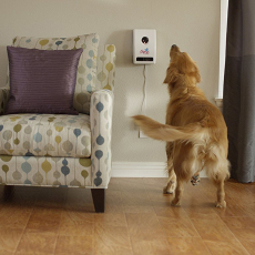 Кормушка с дозатором для кошек и