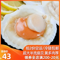 Большой половинный морской гребелец свежий и свежий, а мясо из чеснока