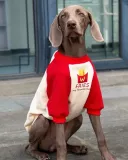 Собака для любимой собаки большая одежда для собак круглой шеи цвета воротнич