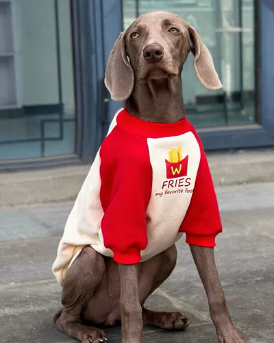 Собака для любимой собаки большая одежда для собак круглой шеи цвета воротнич